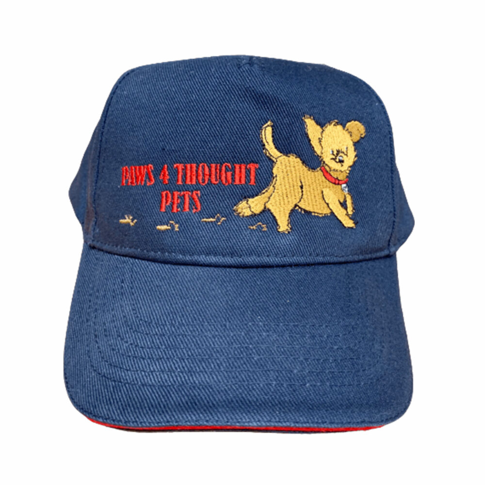 Embroidered Caps