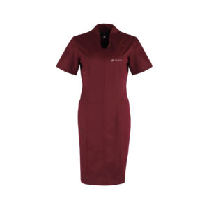 Nurses Dress 102